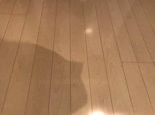 ステージグランデ文京白山の寝室