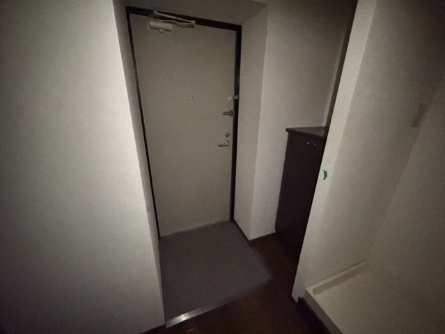 エスエスハイツ市川の玄関