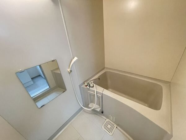 プレジールコスモスD棟の浴室