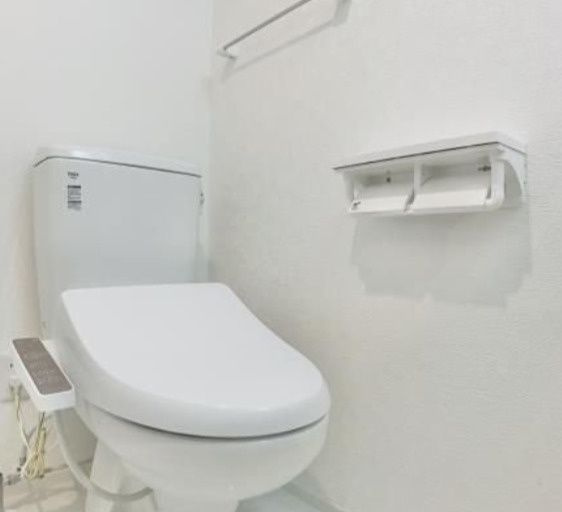 ＧＲＡＮ　ＤＯＭＡＮＥ　ＫＩＴＡＡＫＡＢＡＮＥのトイレ