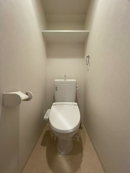 プレサンス丸の内城雅のトイレ