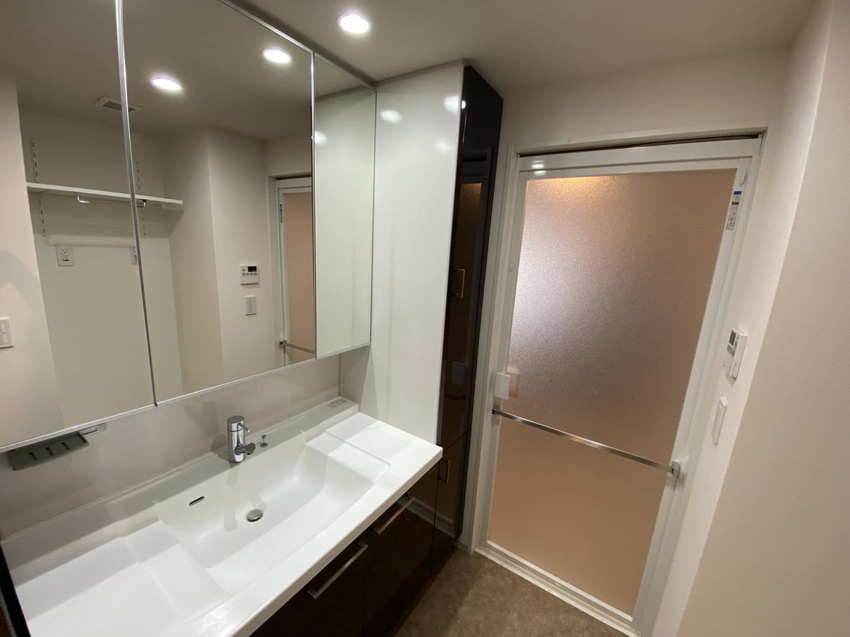 ポレスター岡山ターミナルシティの洗面所