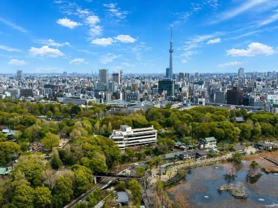 【展望】 | ルネッサンスタワー上野池之端