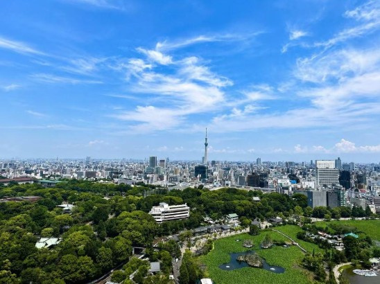 【展望】 | ルネッサンスタワー上野池之端