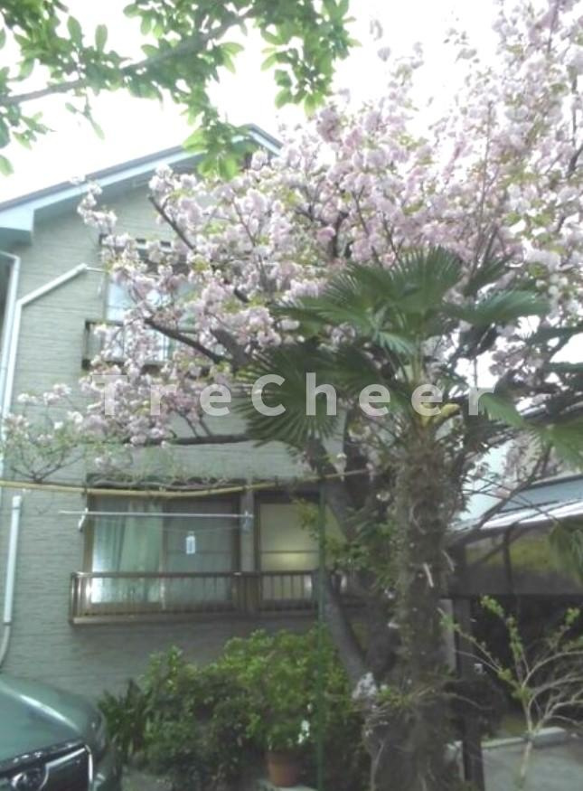 コーポサキヤマのその他共用部分