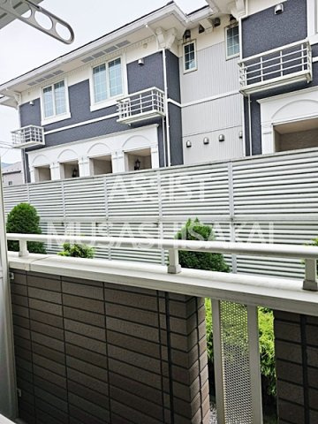 オリーブの展望
