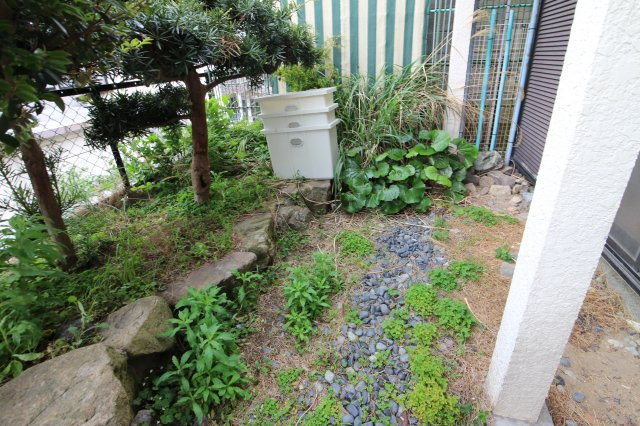 上高丸３丁目戸建の庭