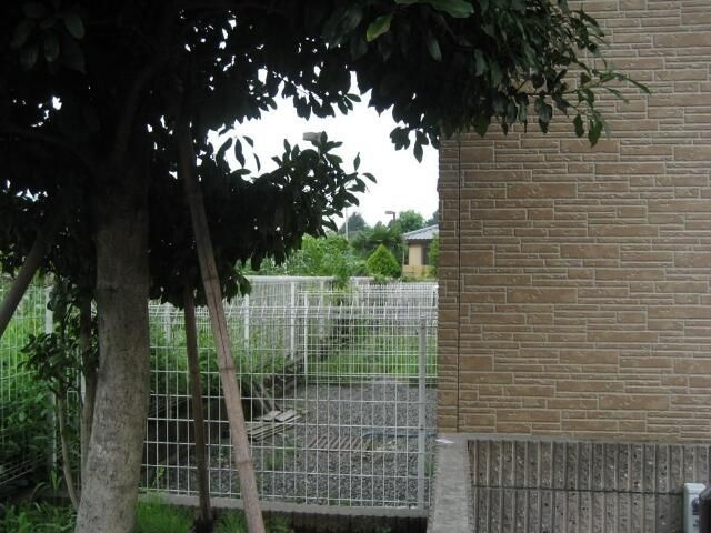 【その他】 | ウッドベル