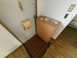 落ち着いた玄関です