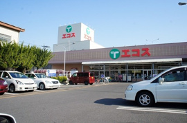 エコスTAIRAYA浦和栄和店まで500m