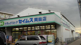 ドラッグセイムス岡田店まで1,341ｍ
