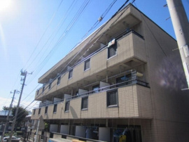 外観もきれいです
