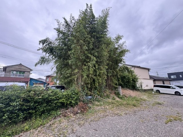土地：郡元町3245番97　他5筆の外観