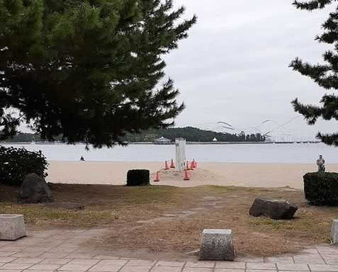 サン　フローリッシュのその他