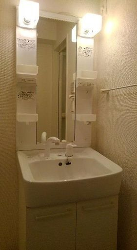 サン　フローリッシュの洗面所