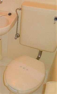 羽村市小作台３丁目の賃貸マンションのトイレ
