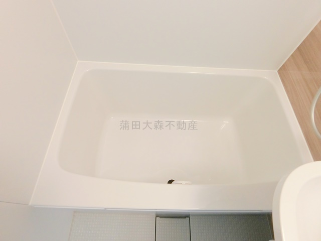 ペガサスステーションプラザ蒲田の浴室