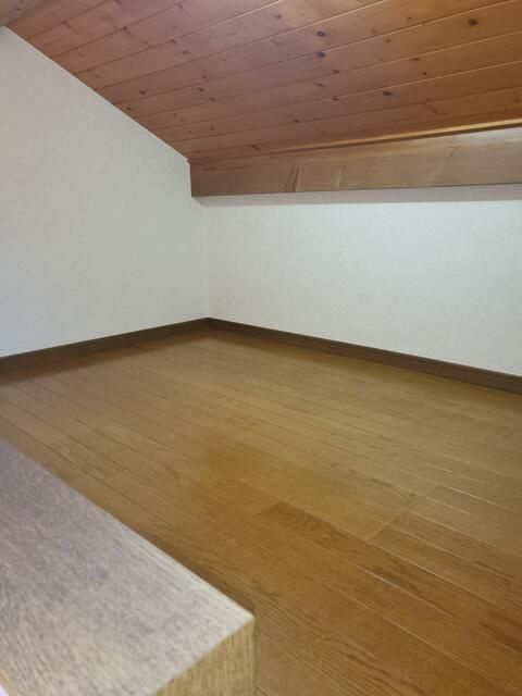 リュミエリーナのその他