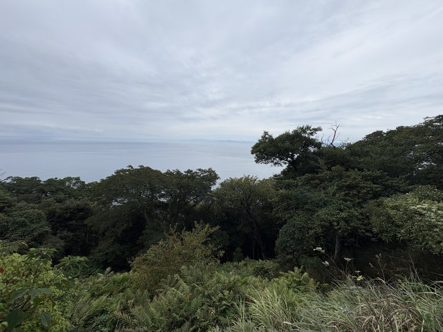 沼津市　戸田　駿河湾一望の広い土地
