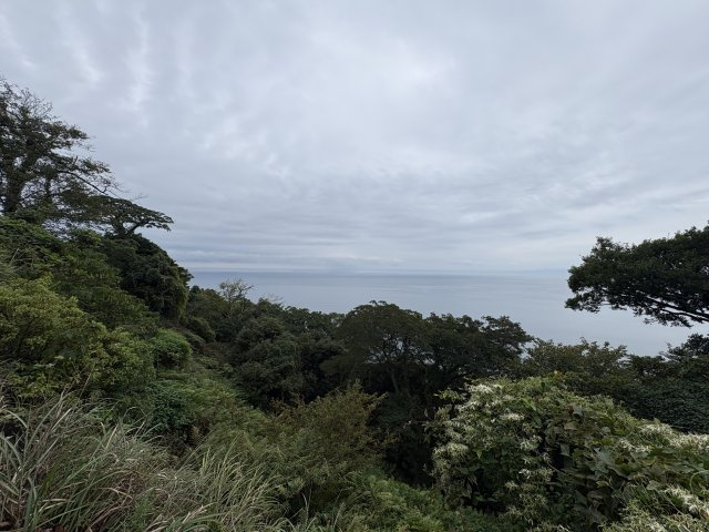 沼津市　戸田　駿河湾一望の広い土地の展望
