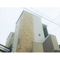 楓の画像
