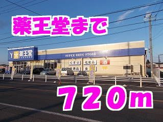アップルヒル壱番館の周辺|薬王堂まで720m