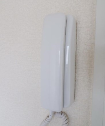 スワーラ文蔵のセキュリティ