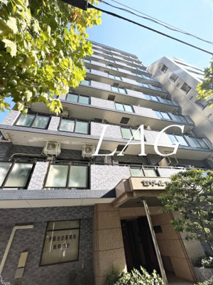 【外観】 | セザールスカイタワー銀座東 | 外観です。