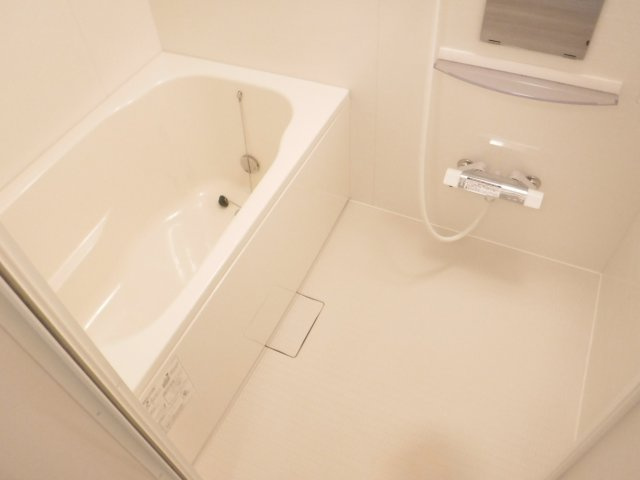 アレアセントロの浴室
