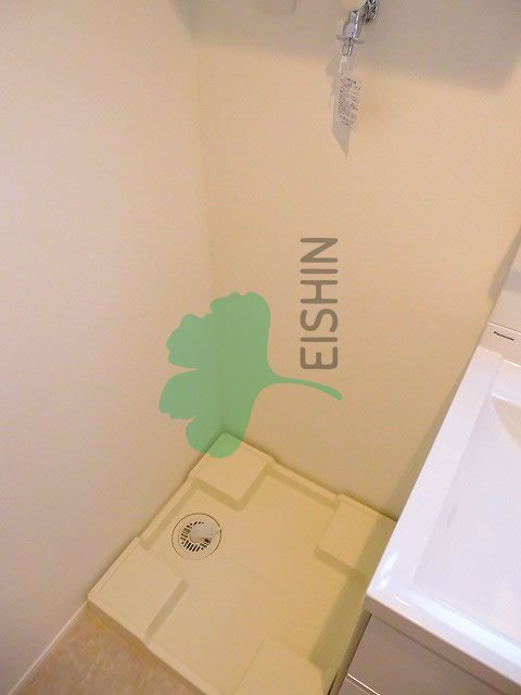 シェンヌ箱崎