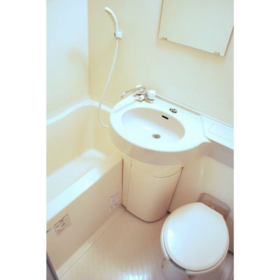 日神パレステージ御茶ノ水 の浴室