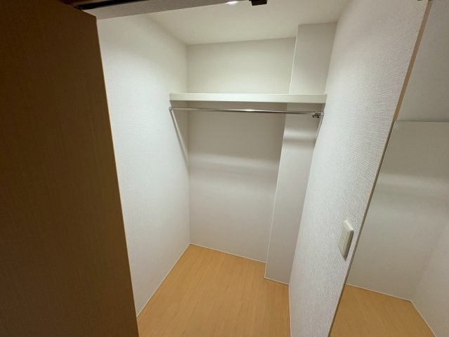 ジプソフィラの収納