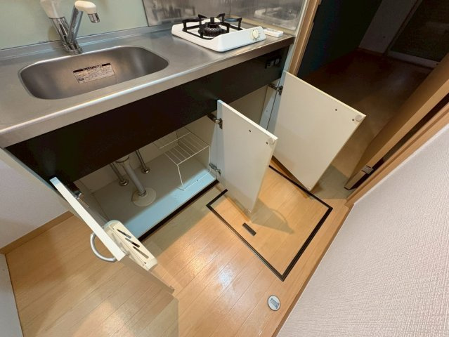 ジプソフィラのキッチン