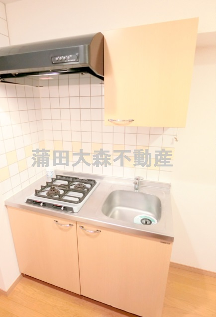 ルーブル池上参番館のキッチン|2口ガスシステムキッチン