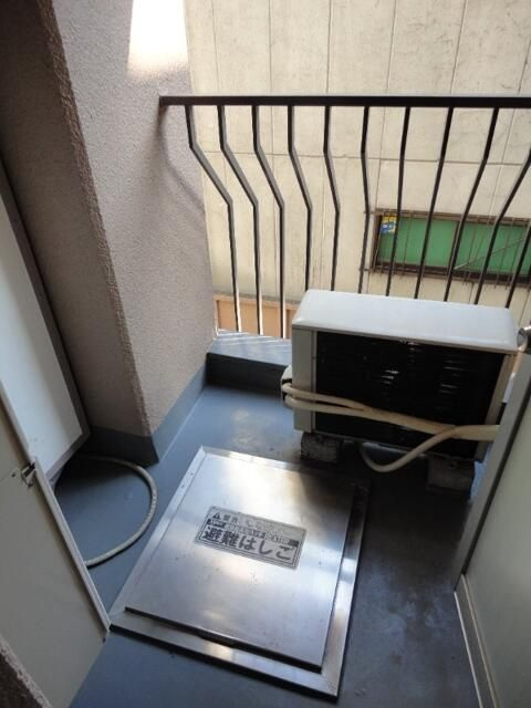 びらしんびのその他