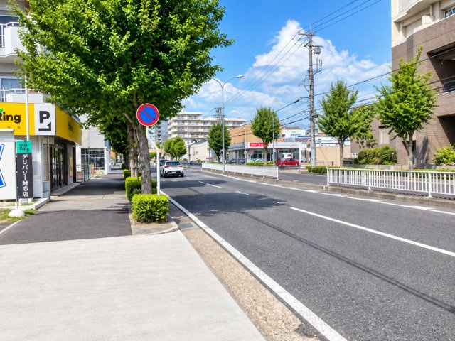 川原ハイツ(昭和区川原通4丁目一棟売マンション)の周辺|物件前の前面道路（幅員約24.5m）。街路樹の並ぶ歩道が整備されています。