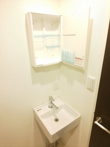 プレシャス中延の洗面所
