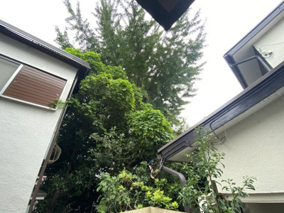 【その他】MoGA 下北沢