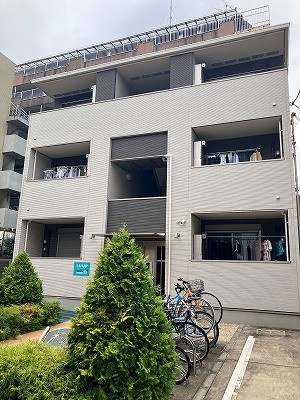 Ｃｏｌｌｉｎｅ　Ｓｈｉｂｕｙａ６の外観
