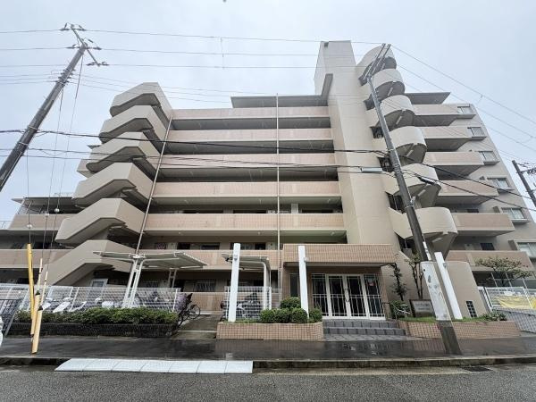 シャンティー舞子の画像