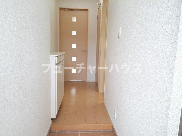 ネモフィラの収納