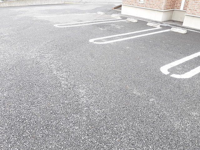 ネモフィラの駐車場