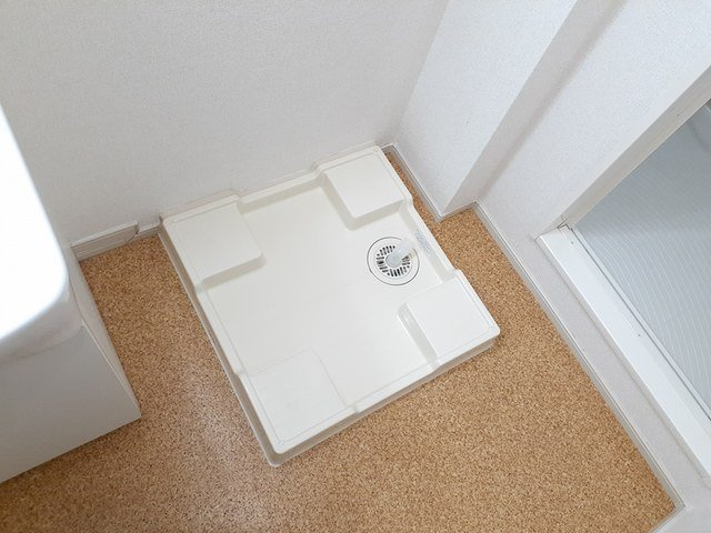 ネモフィラのその他