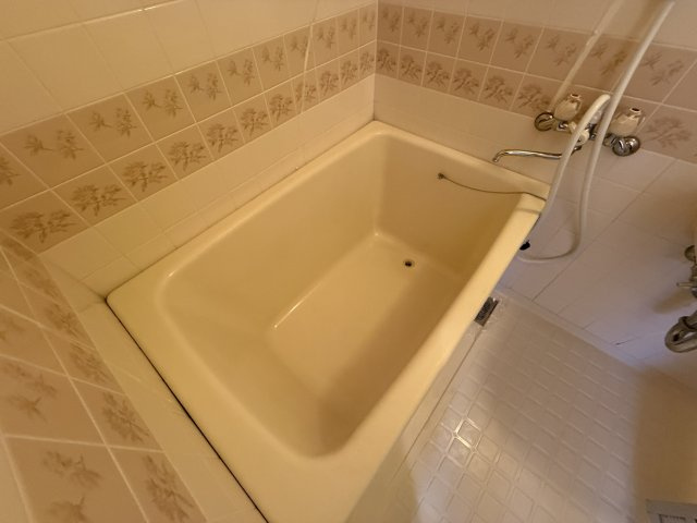 トゥリオーニ豊中南の浴室