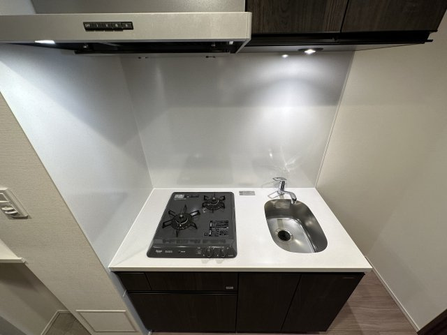 コンシェリア池上 ＴＨＥ ＲＥＳＩＤＥＮＣＥのキッチン|同タイプ別住戸写真となります。現況と異なる場合がございます。