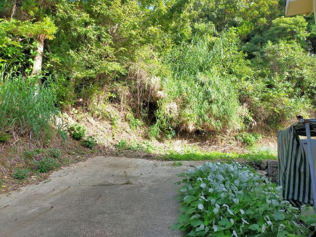 川棚町小串郷土地（471番地2）の周辺|東側斜面