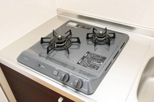 レオ参拾七番館のその他