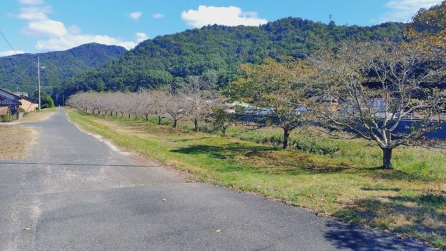矢掛町小林売地の周辺