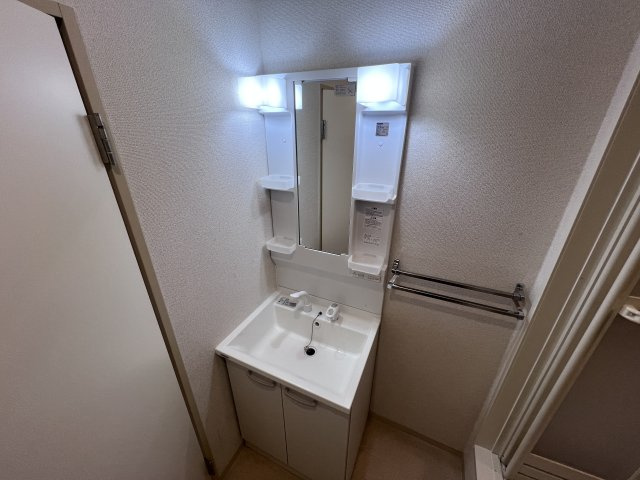 サザン五葉A棟の洗面所