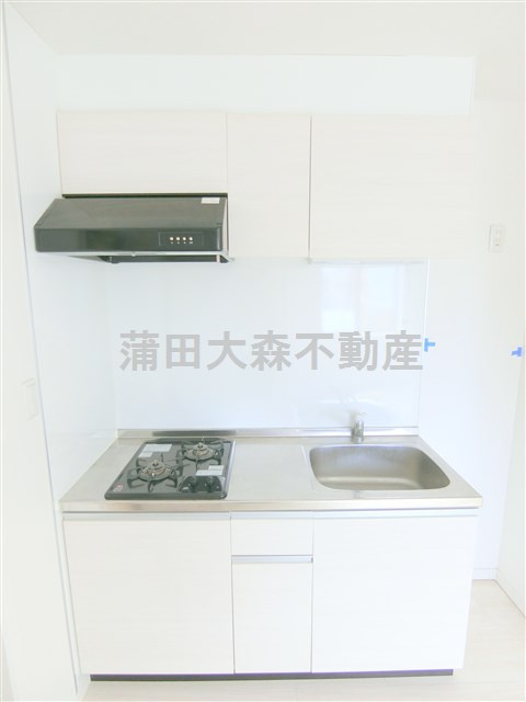 池上築浅オススメマンションのキッチン|システムキッチン